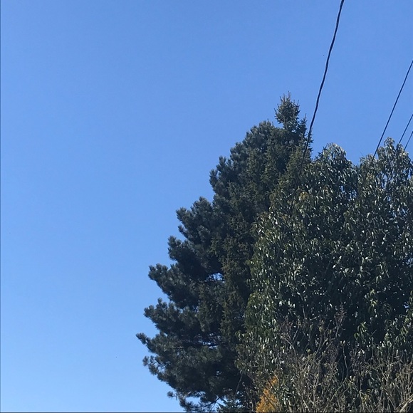 Meet your Posher, James - Picture 1 of 1